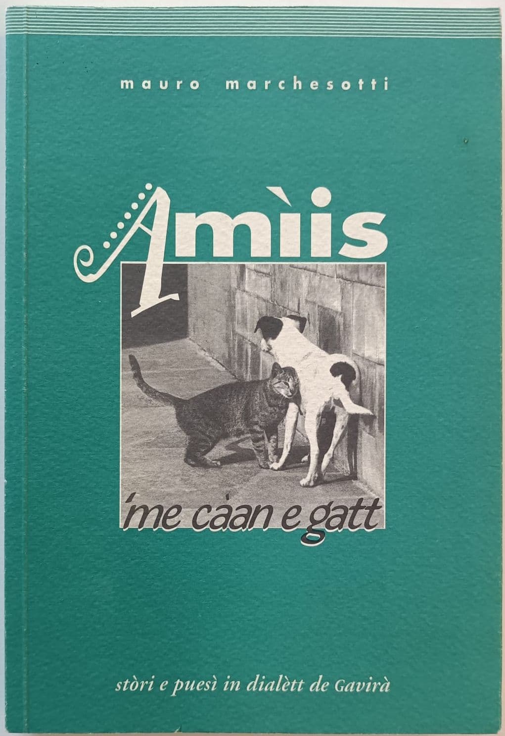 Amìis 'me càan e gatt