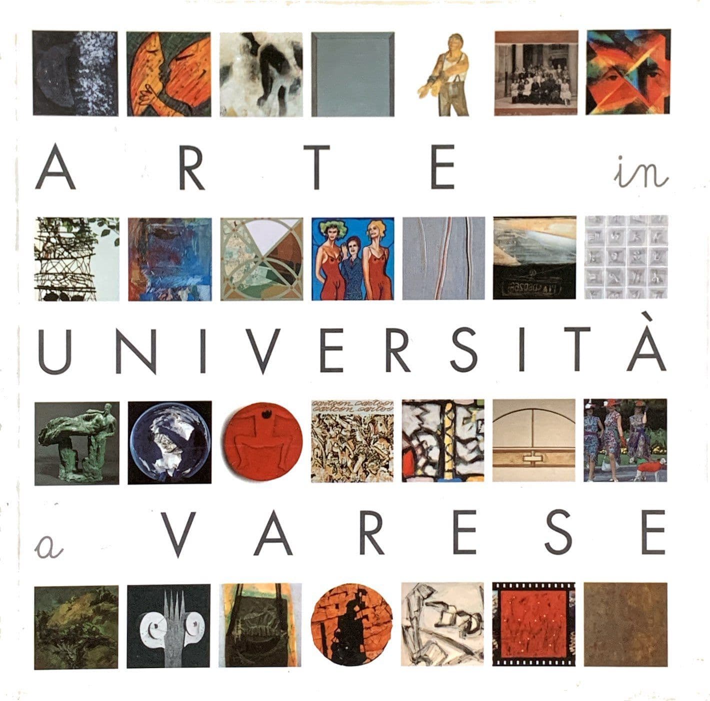 Arte in università a Varese
