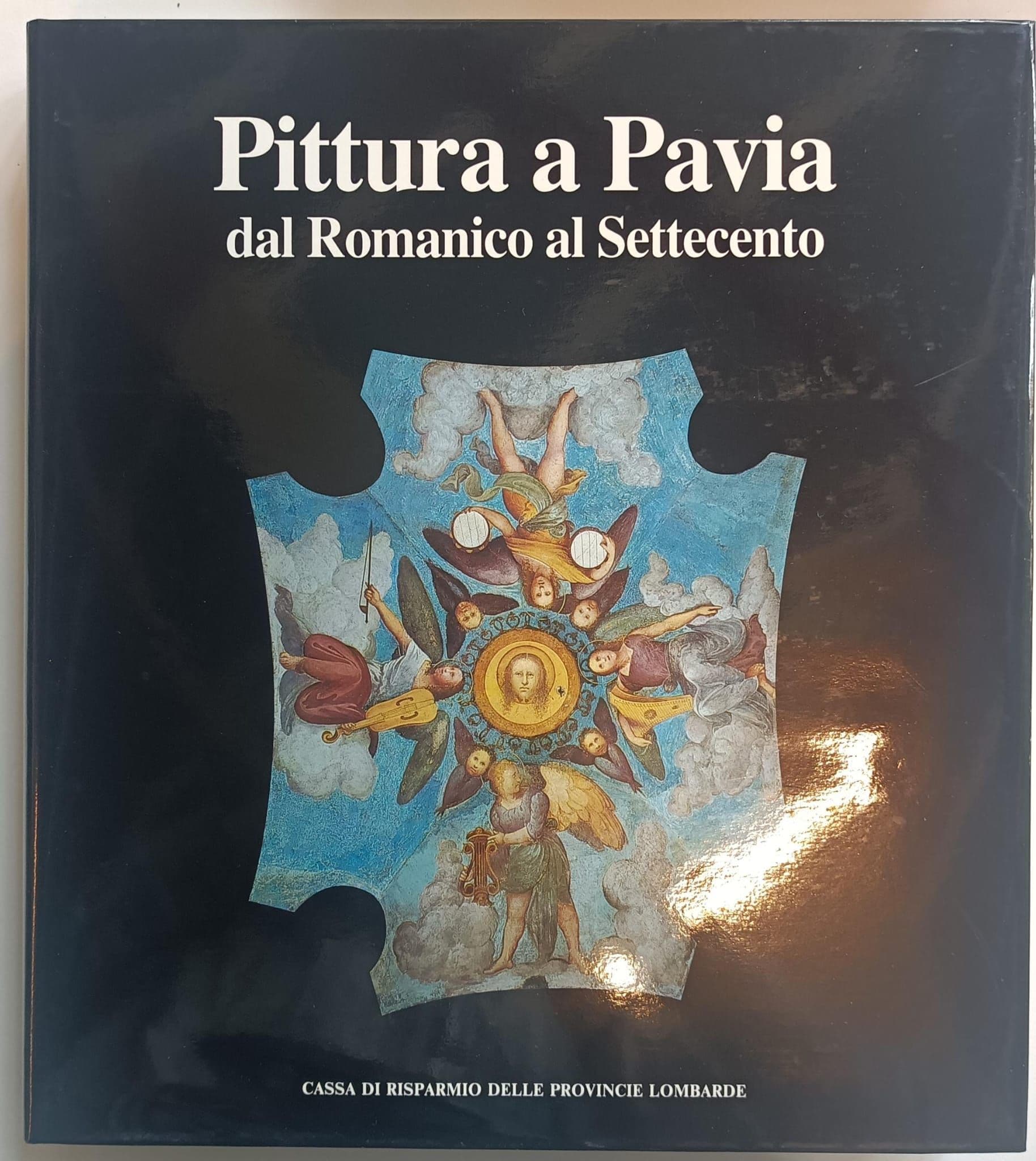 Pittura a Pavia