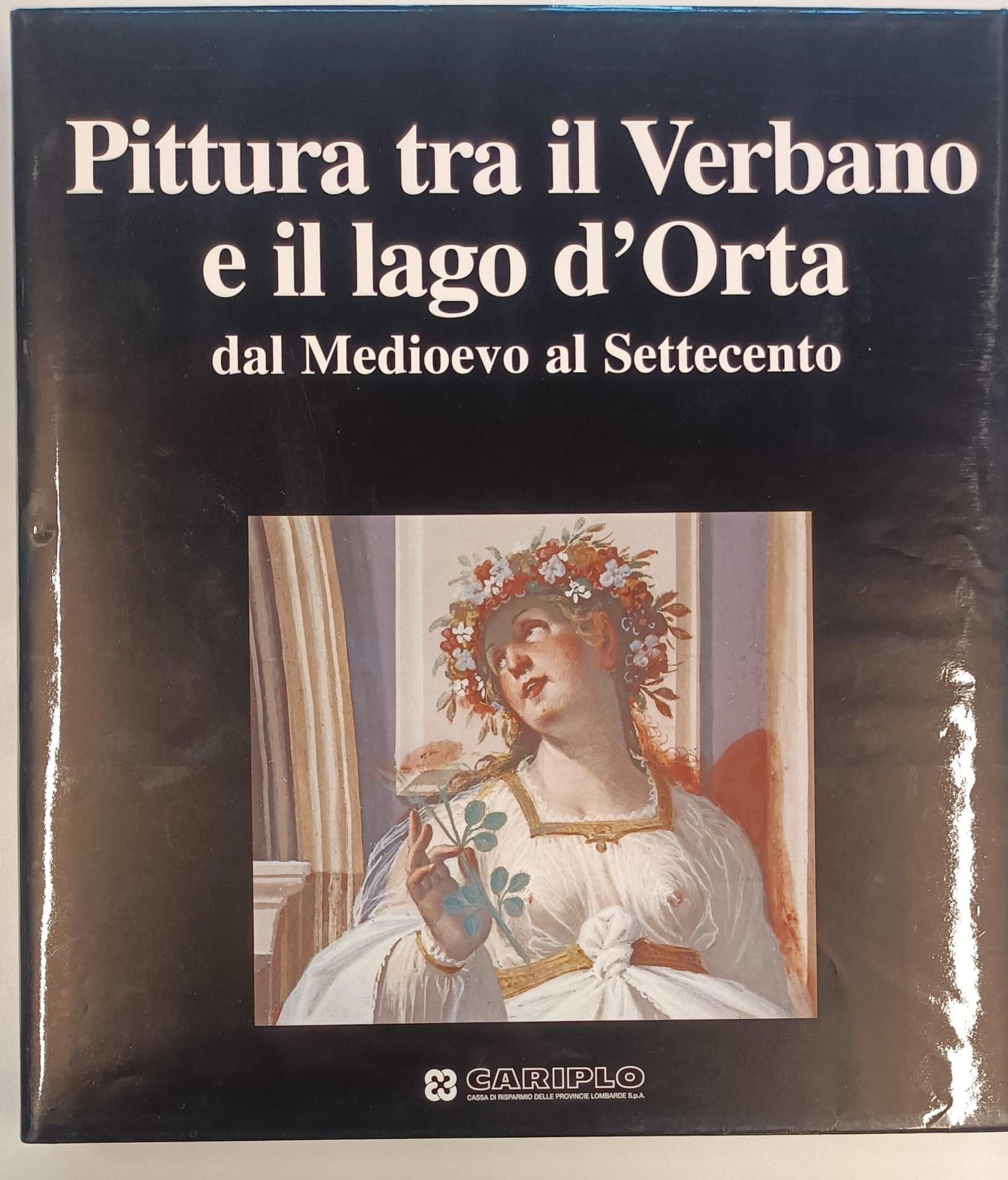Pittura tra il Verbano e il Lago d'Orta