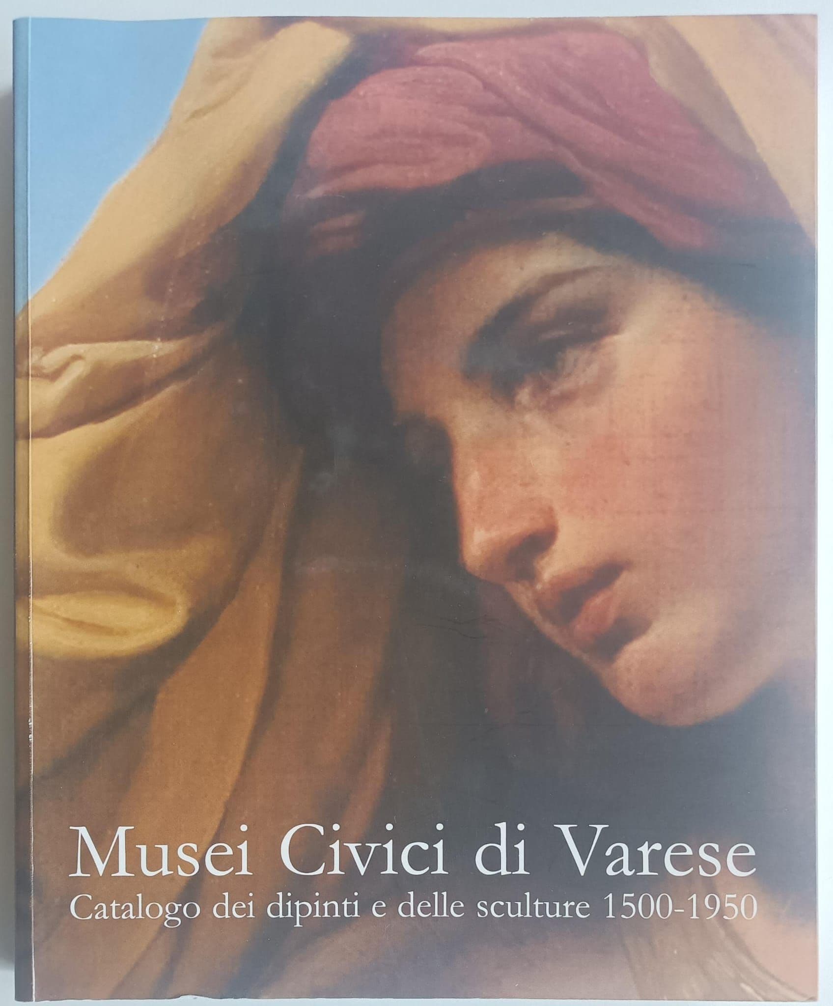 Musei civici di Varese