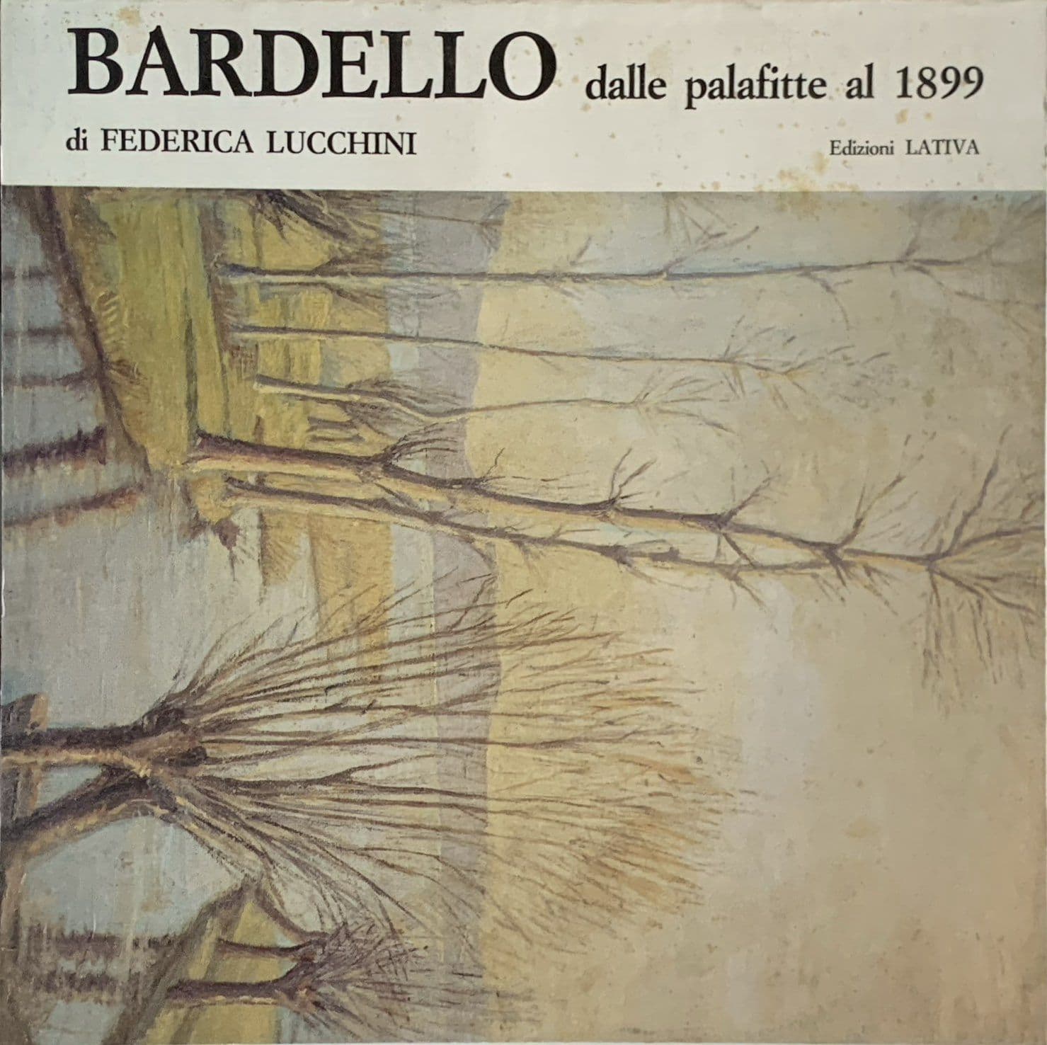 Bardello dalle palafitte al 1899
