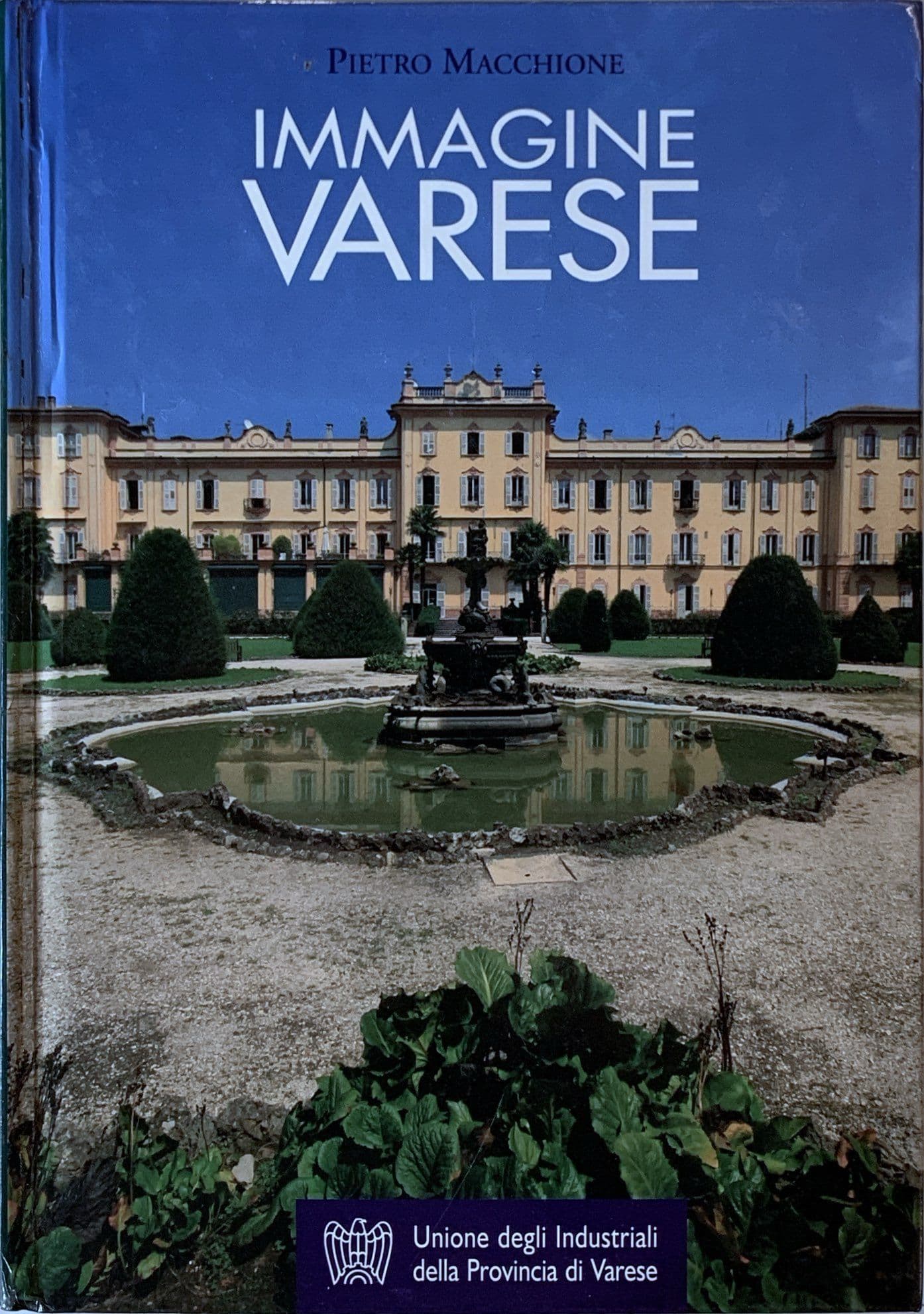 Immagine Varese