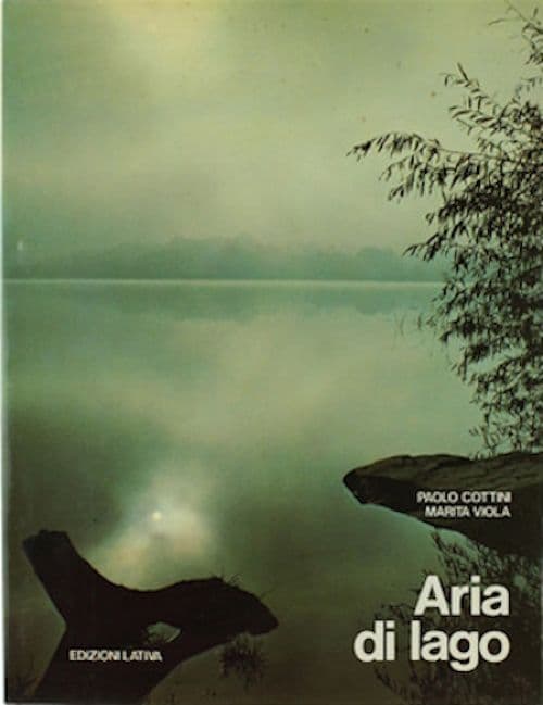 Aria di lago