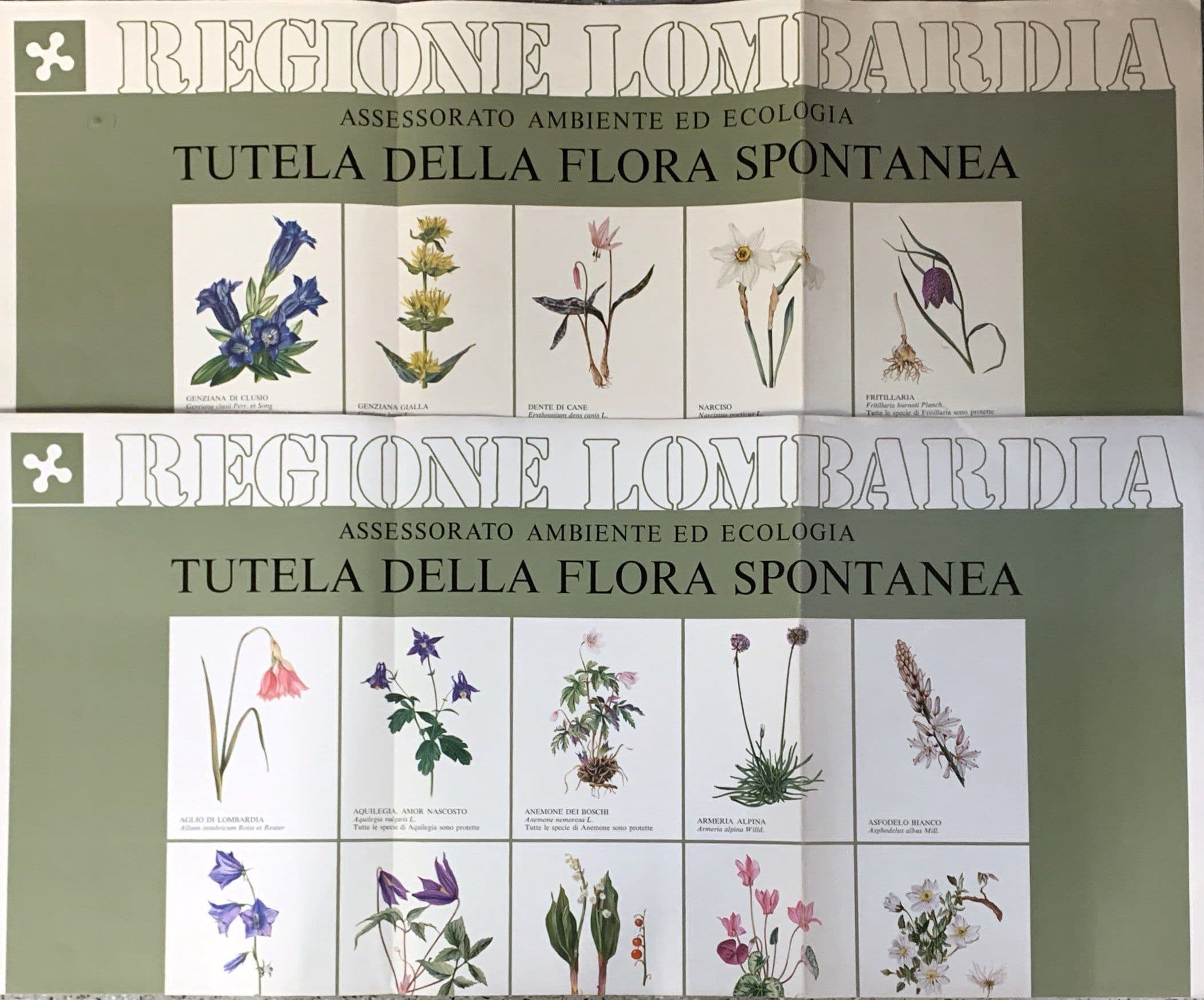 Tutela flora spontanea 2 manifesti