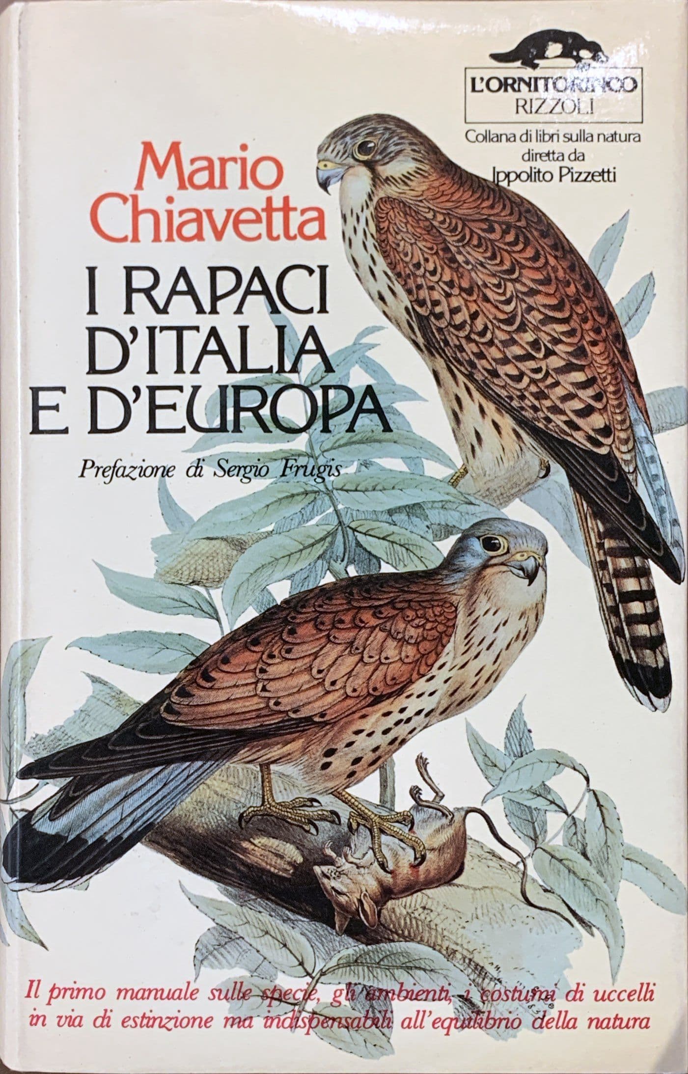 I rapaci d'Italia e d'Europa
