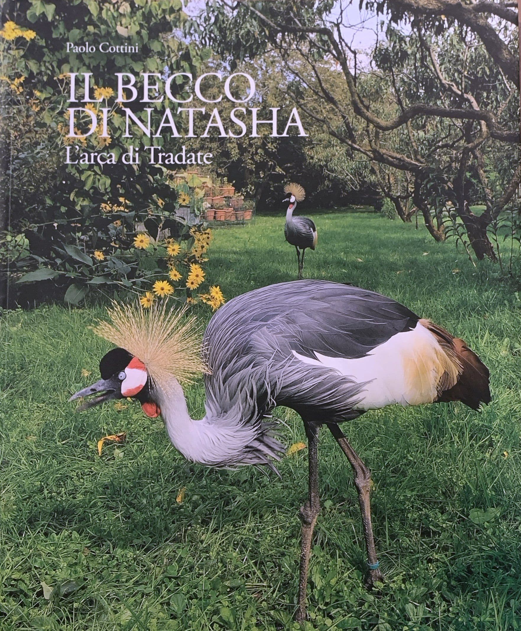 Il becco di Natasha