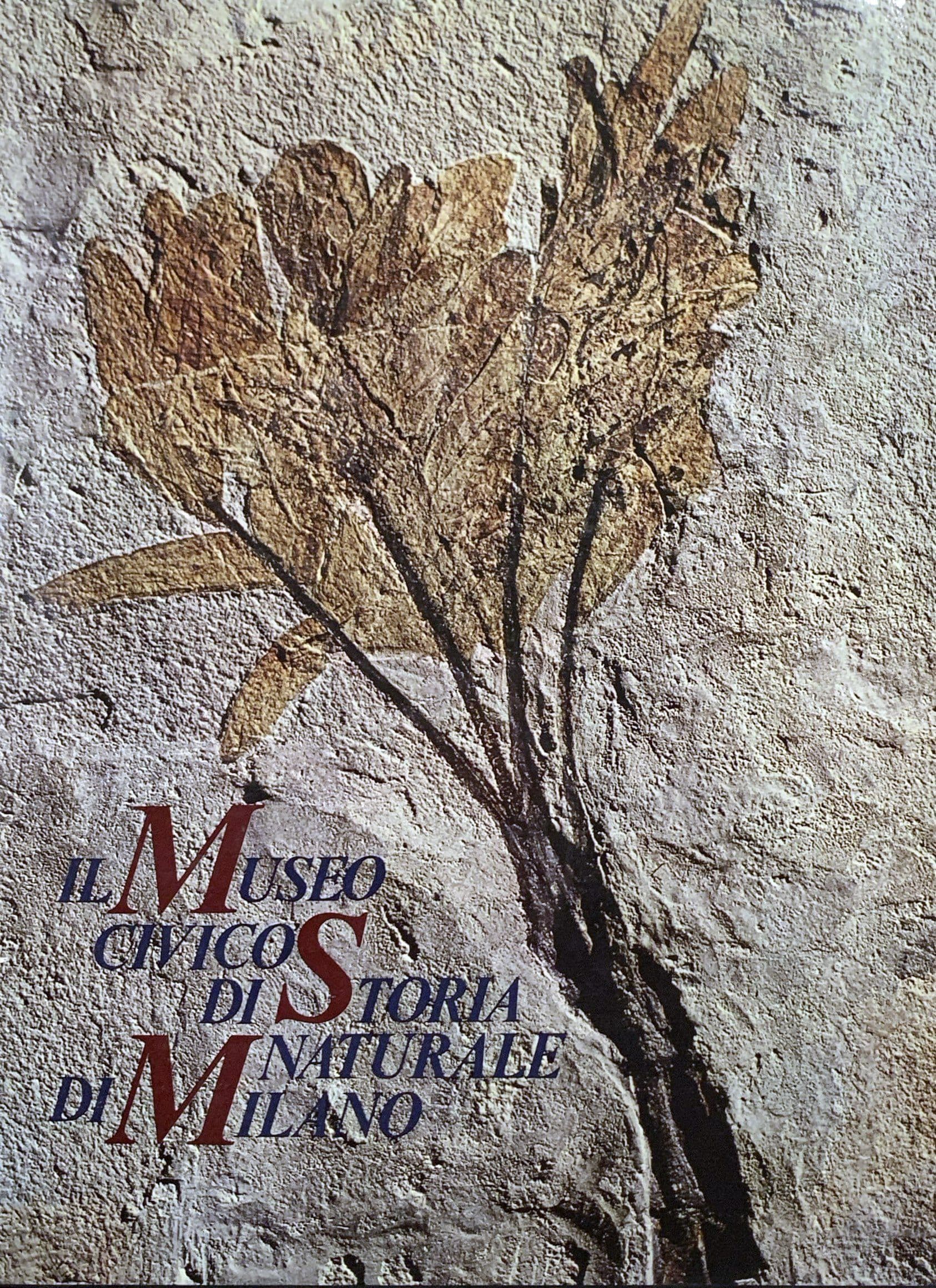 Il Museo Civico di Storia Naturale di Milano