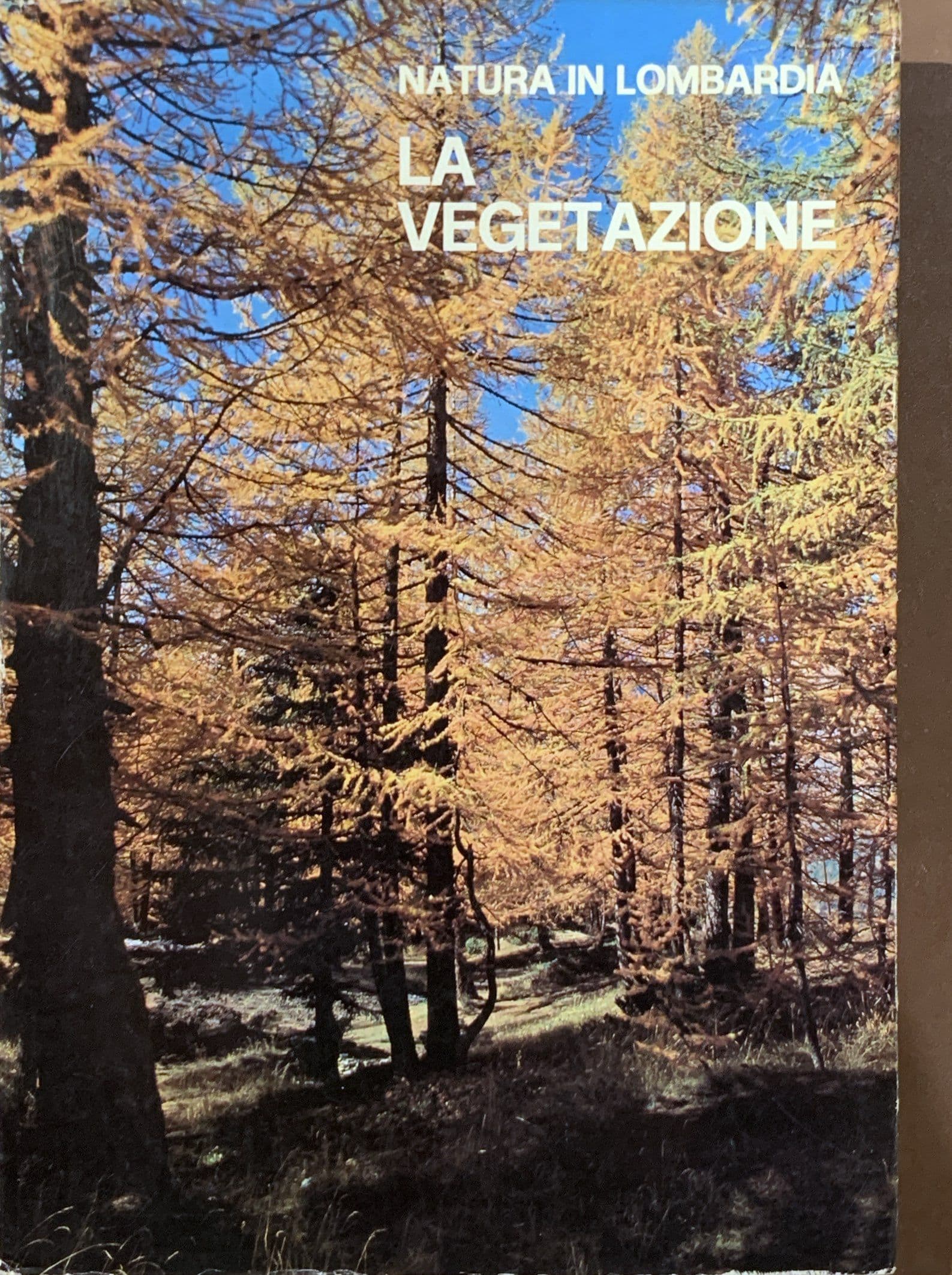 La vegetazione – Natura in Lombardia