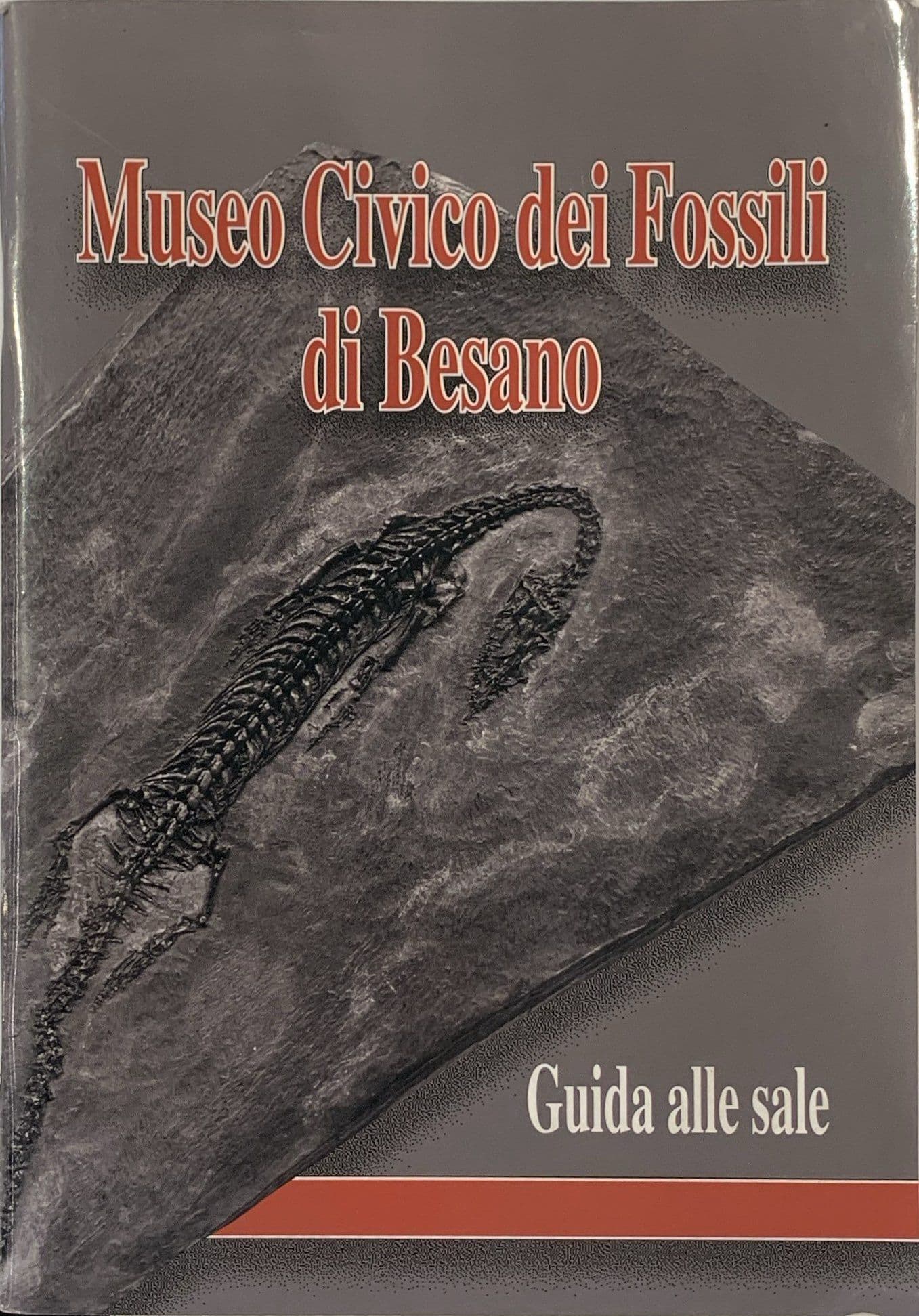 Museo Civico dei fossili di Besano