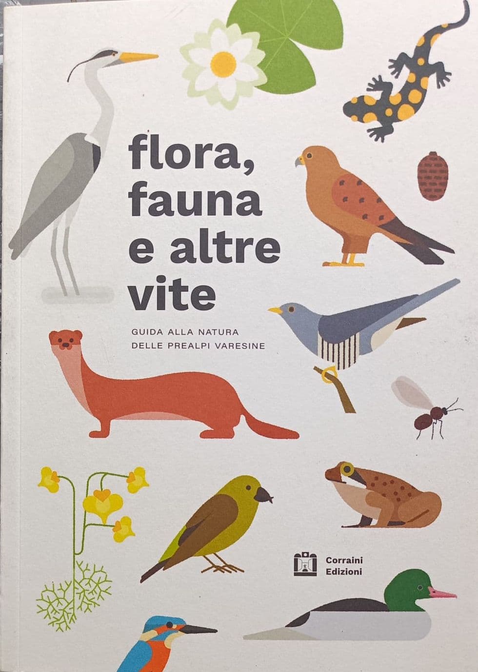 Flora, fauna e altre vite