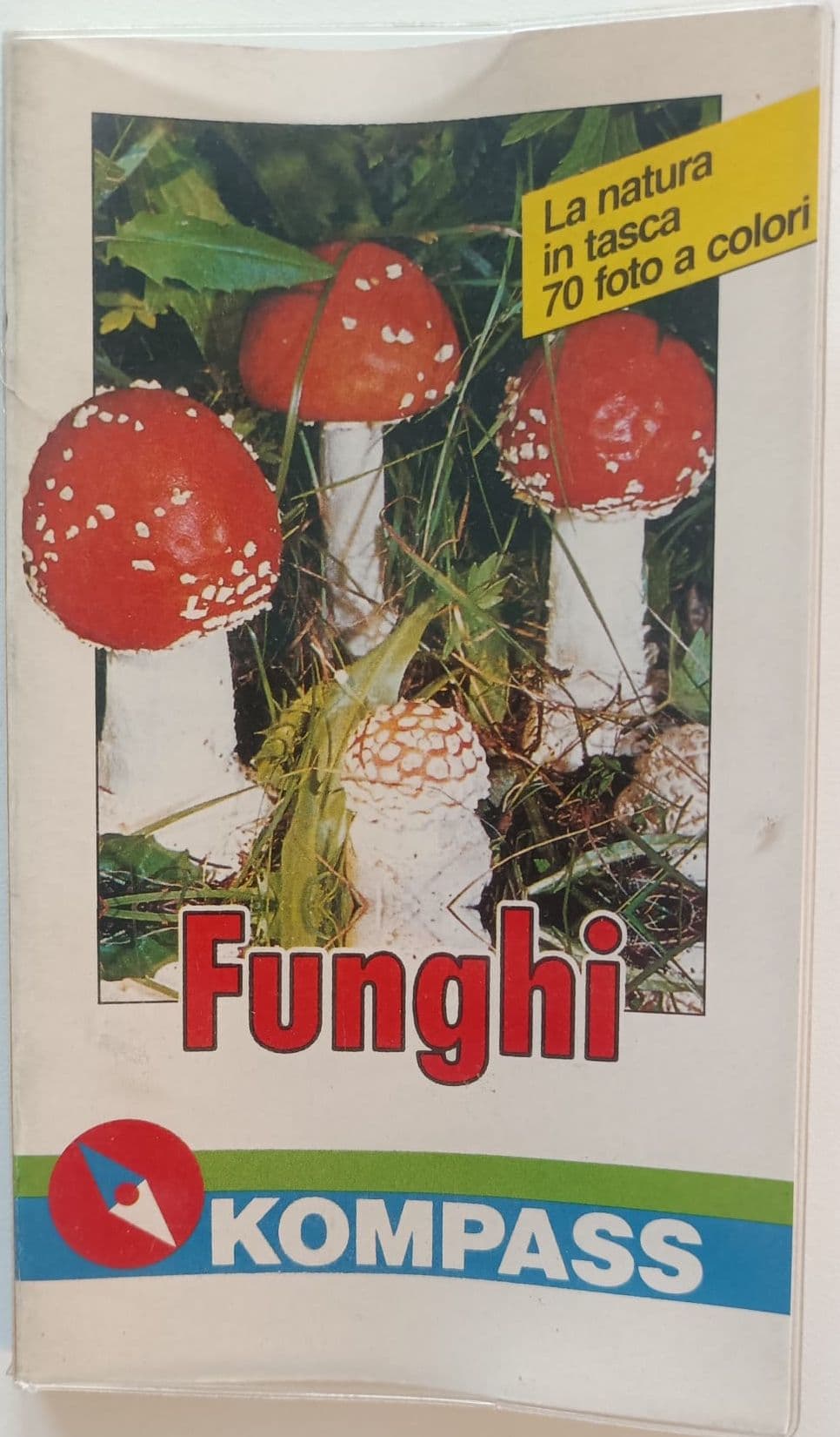 Funghi
