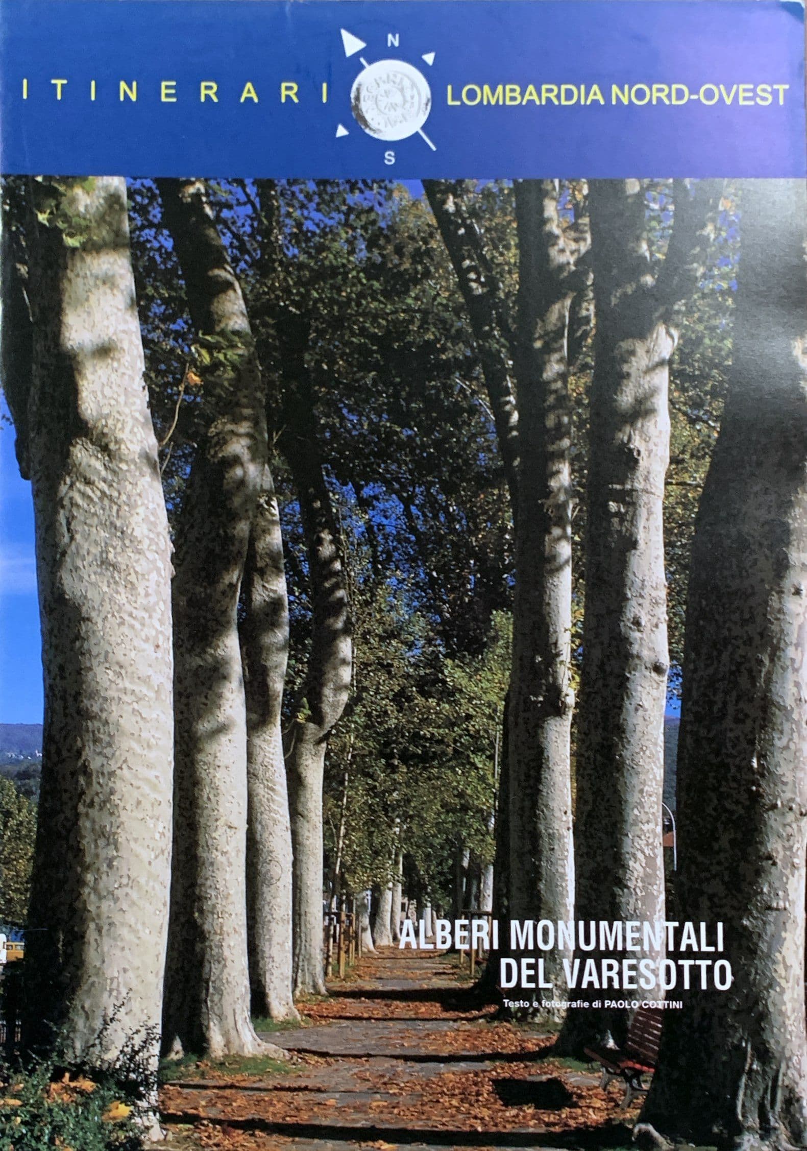 Alberi monumentali del Varesotto