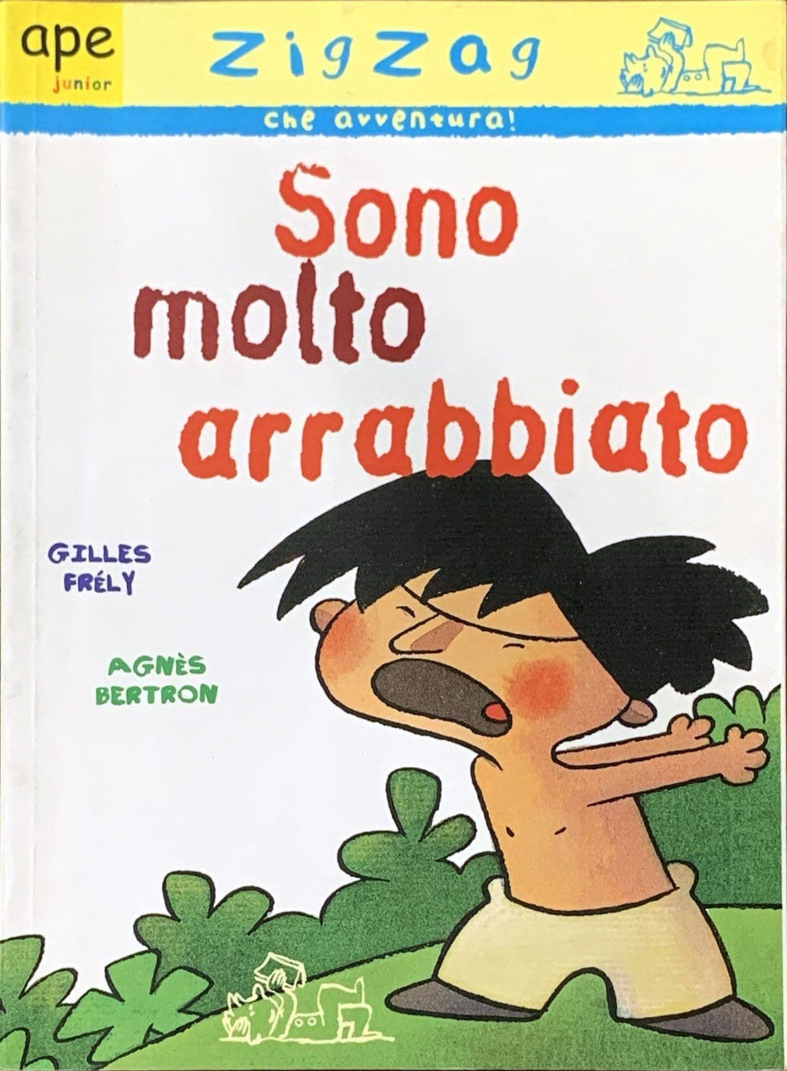 Sono molto arrabbiato