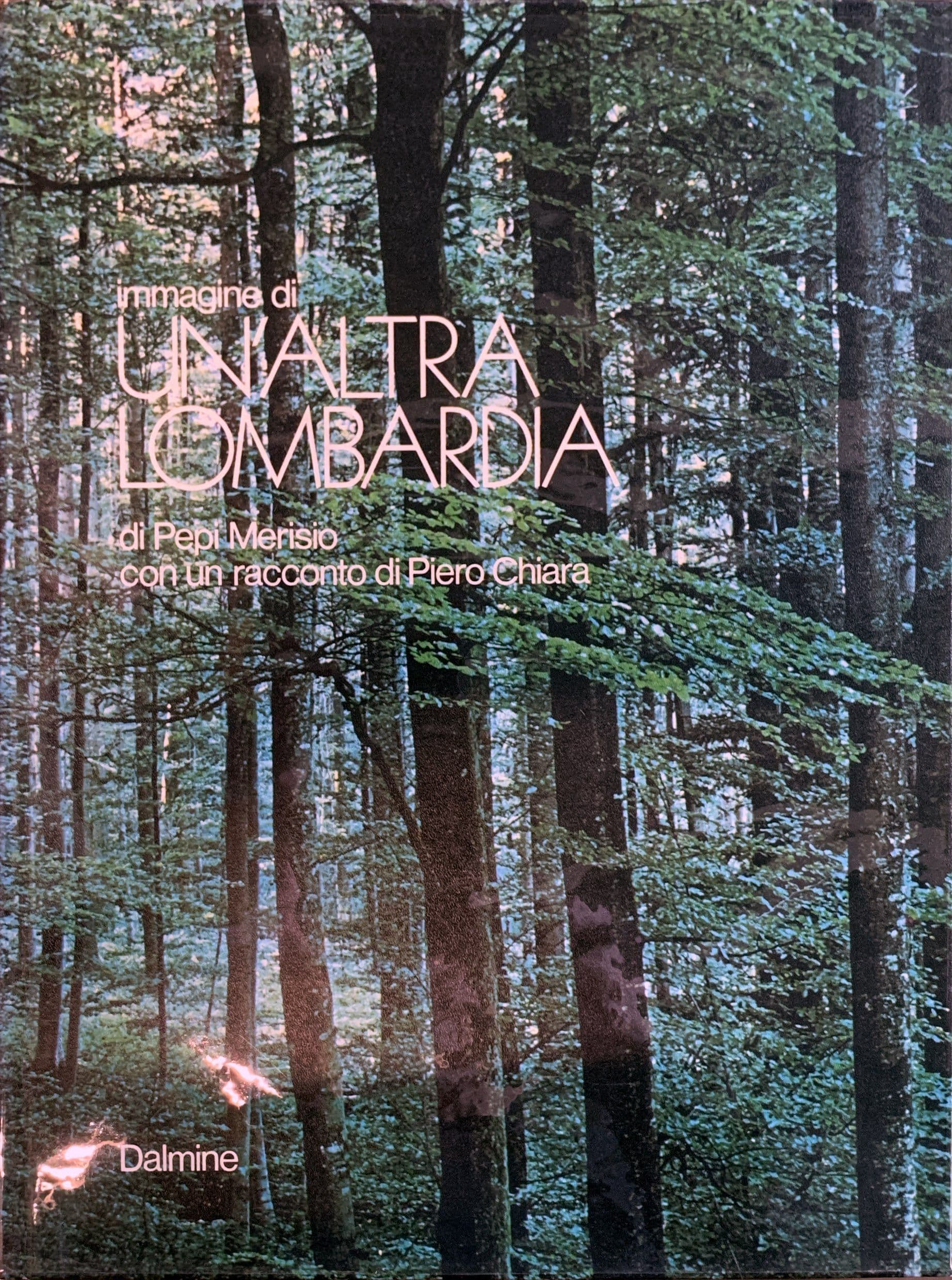 Immagine di un'altra Lombardia