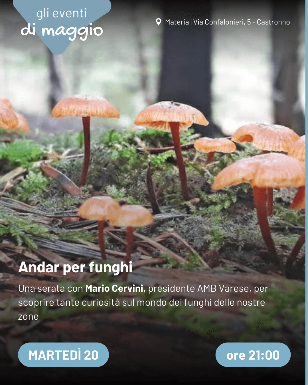 andar per funghi