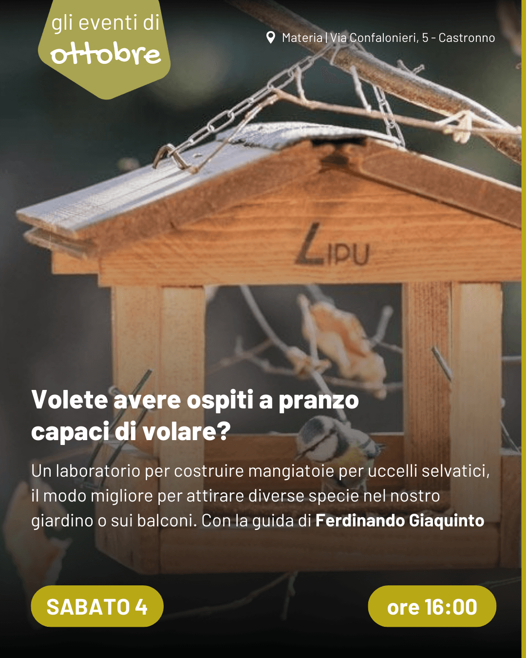 casette per uccelli