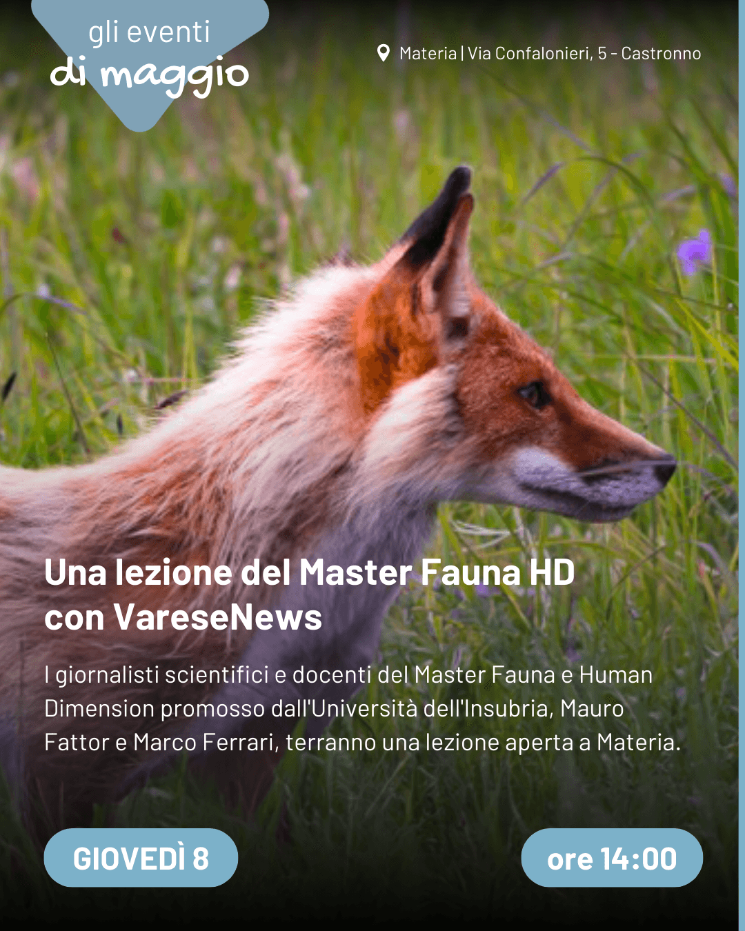 lezione fauna
