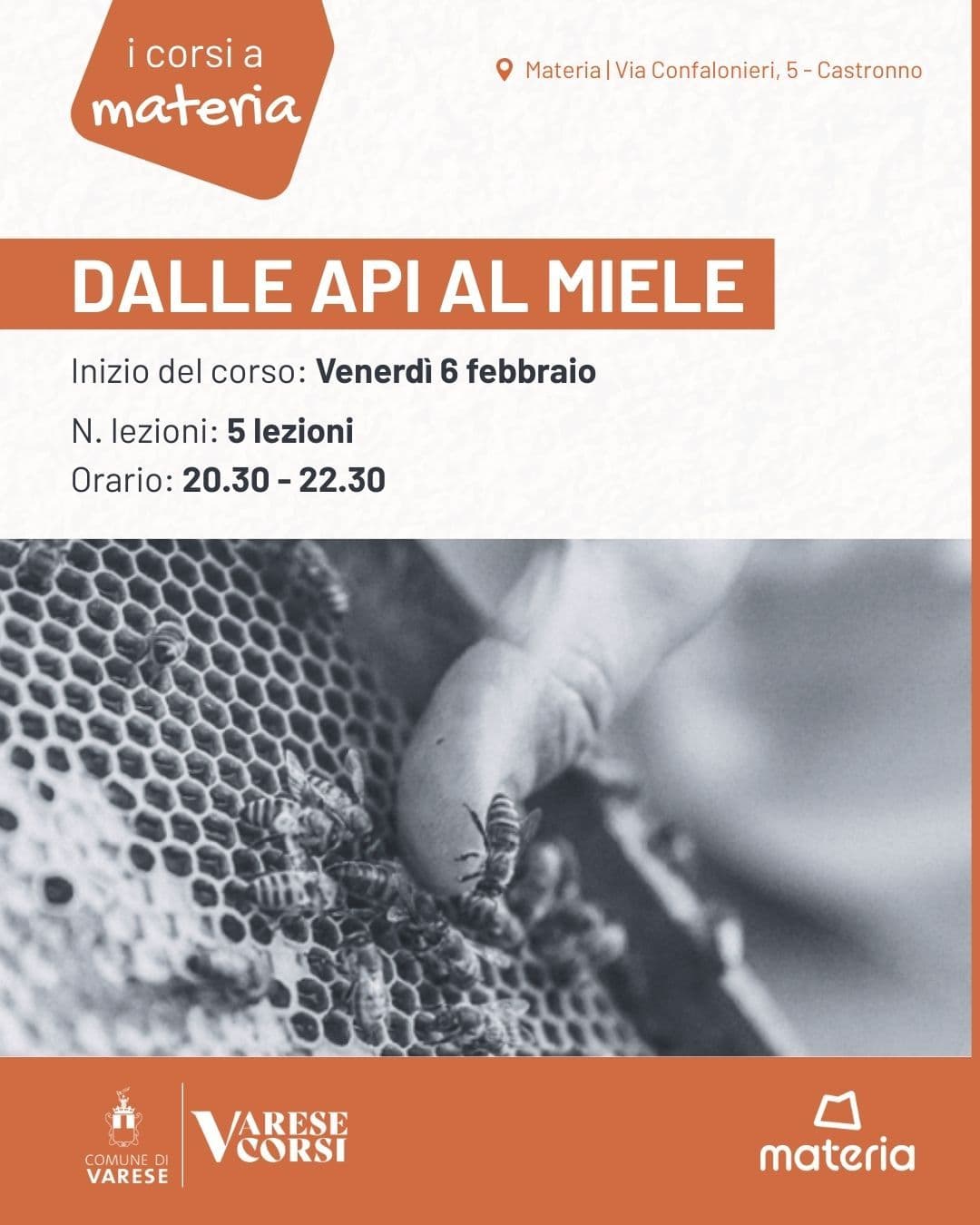 Dalle api al miele