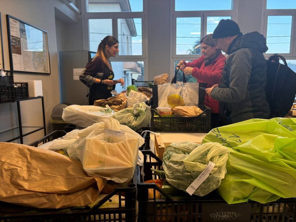 Ordina la tua spesa a km0 online e ritirala a Castronno: l’Alveare ti aspetta a Materia