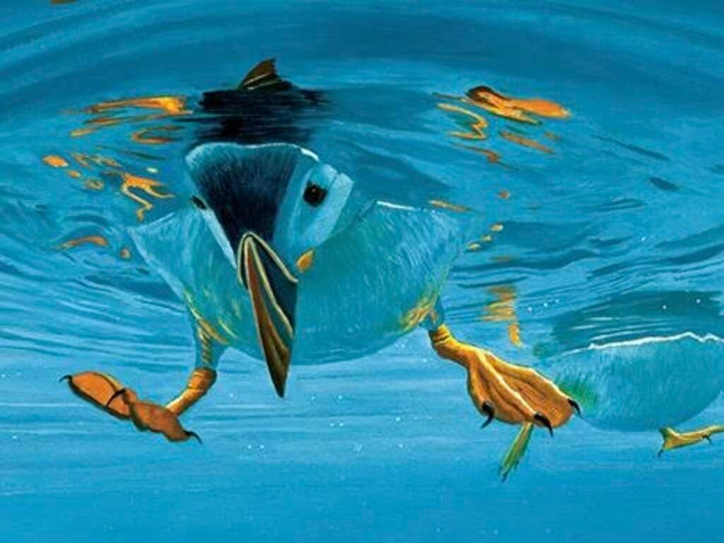 Dentro il “mal d’Islanda”: a Materia storie dal Circolo Polare Artico