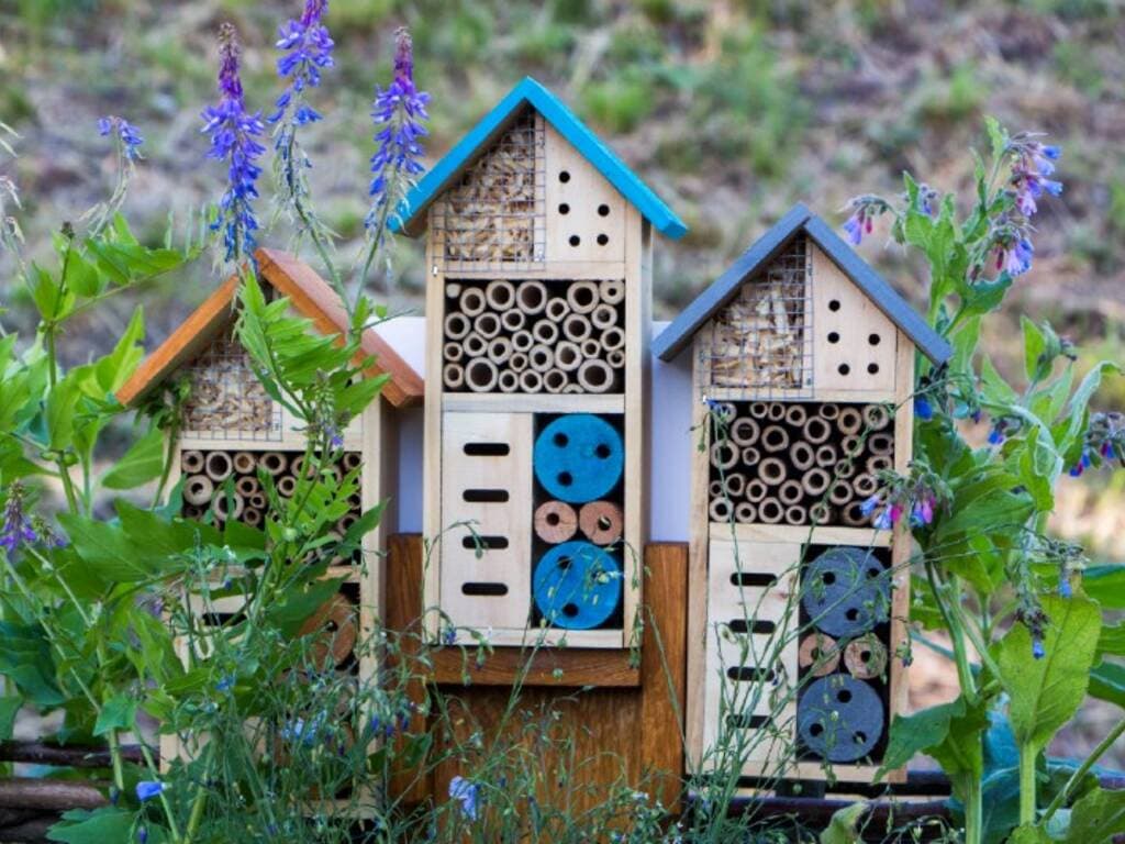 Due nuovi Bee Hotel per la “Via delle Api”: appuntamento a Castronno con gli alunni delle scuole