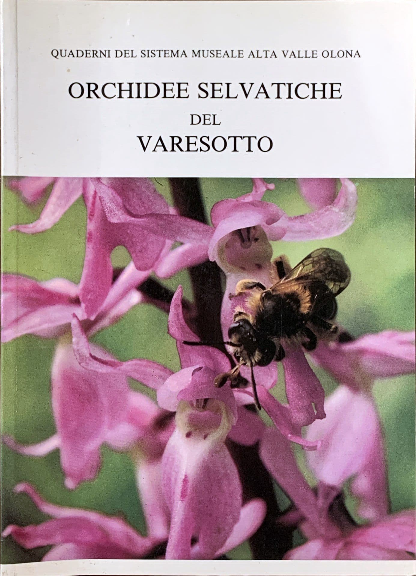 Orchidee selvatiche del Varesotto