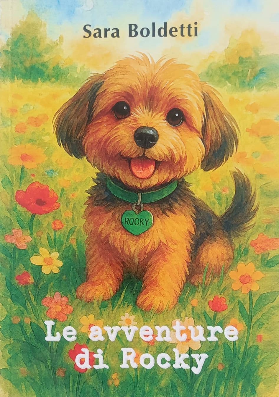 Le avventure di Rocky